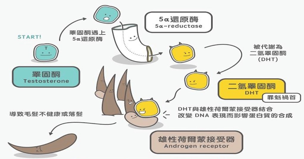 本頁圖片/檔案 - 2